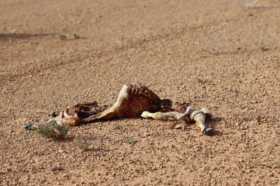 Impact of more frequent severe droughts in Somalia